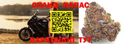 Альфа ПВП Краснокаменск