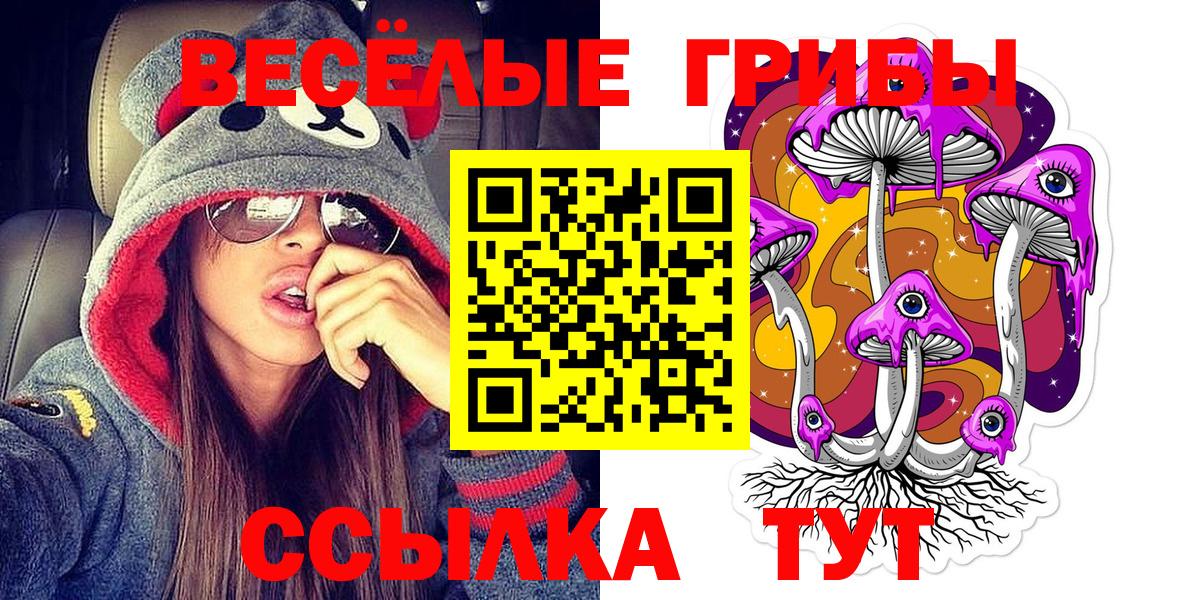 Галлюциногенные грибы Cubensis Коломна